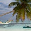 Divvietīgs šūpuļtīkls COLADA curacao - Image 3